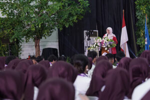 ALF02807 (1)